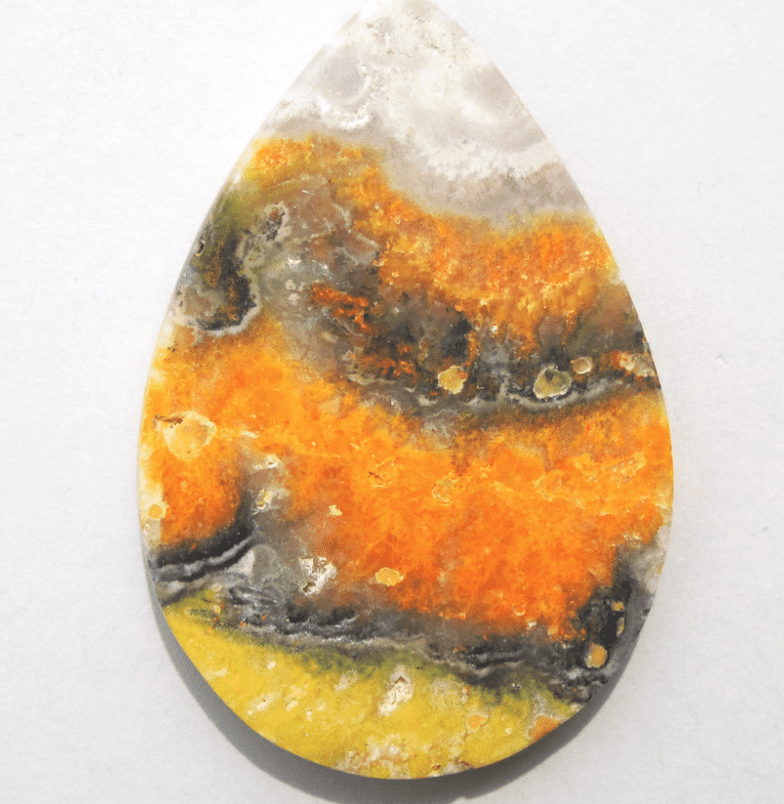 Bumblebee Jasper