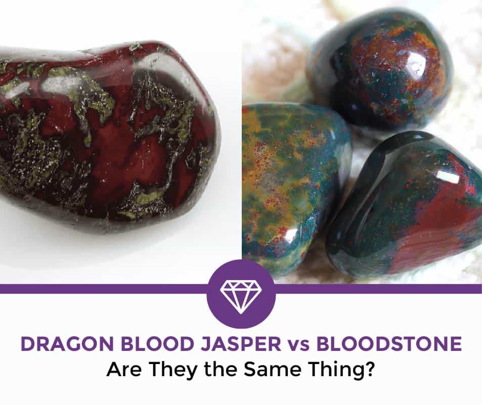 dragon blood jasper vs bloodstone dragon blood jasper vs bloodstone