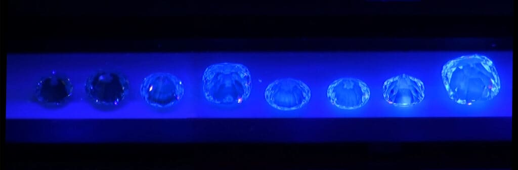 degrees of fluorescence